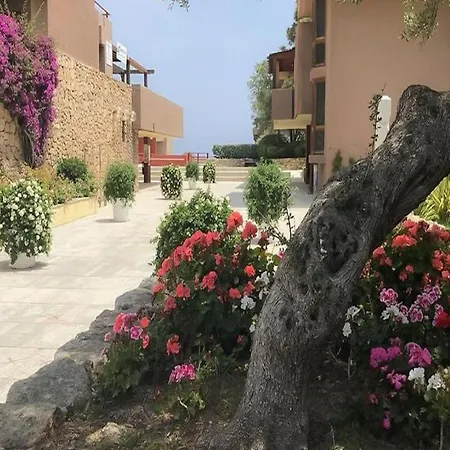Simplistic In With Garden