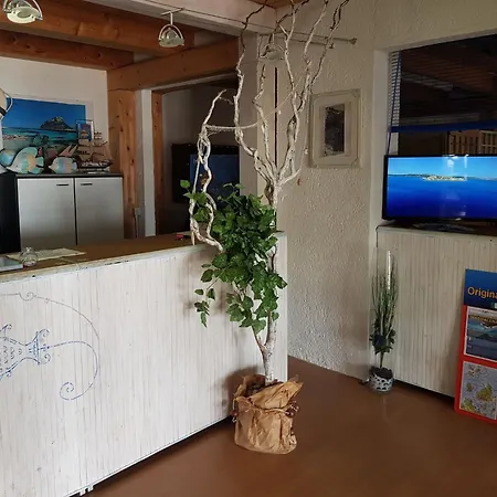 Simplistic In With Garden Apartment